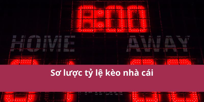 Sơ lược tỷ lệ kèo nhà cái